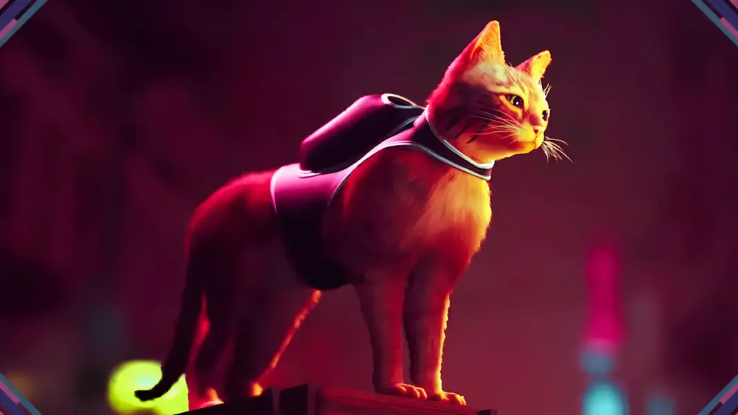 Stray chega ao Nintendo Switch 2 após sucesso entre crítica e jogadores