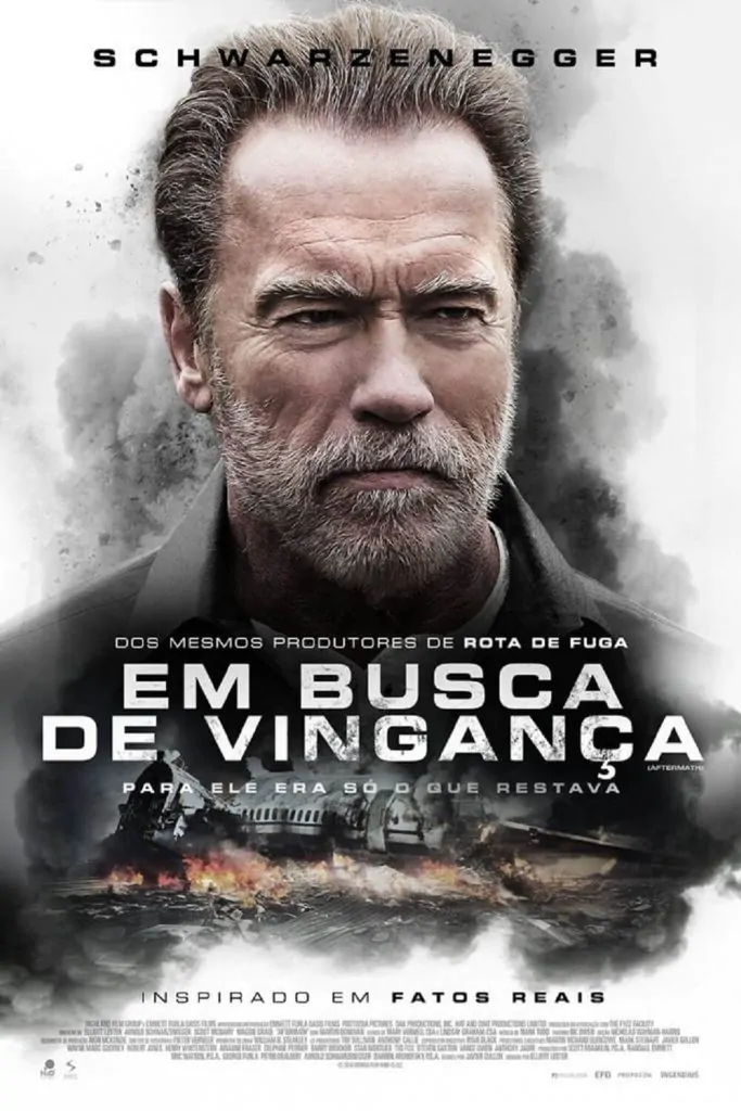 Em busca de vingança 2017