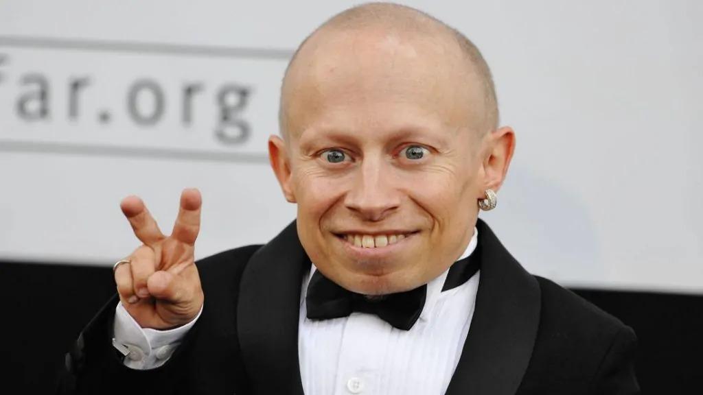 verne troyer