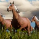 cavalos red dead 2 meugamercom 2018
