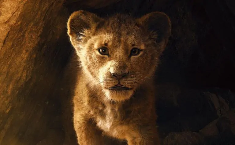 O Rei Leão | Filme live-action ganha primeiro trailer nostálgico