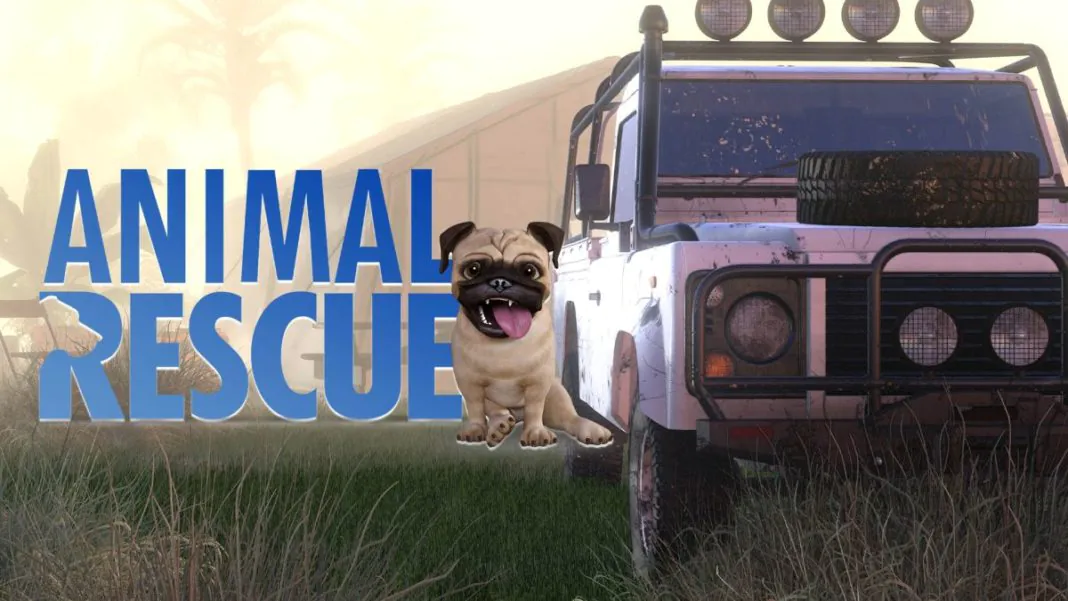 Animal Rescue: Jogo anunciado para 2021 no PC e consoles
