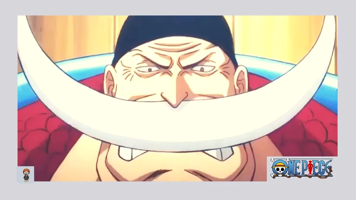 One Piece: Episódio 1016, quando será lançado?