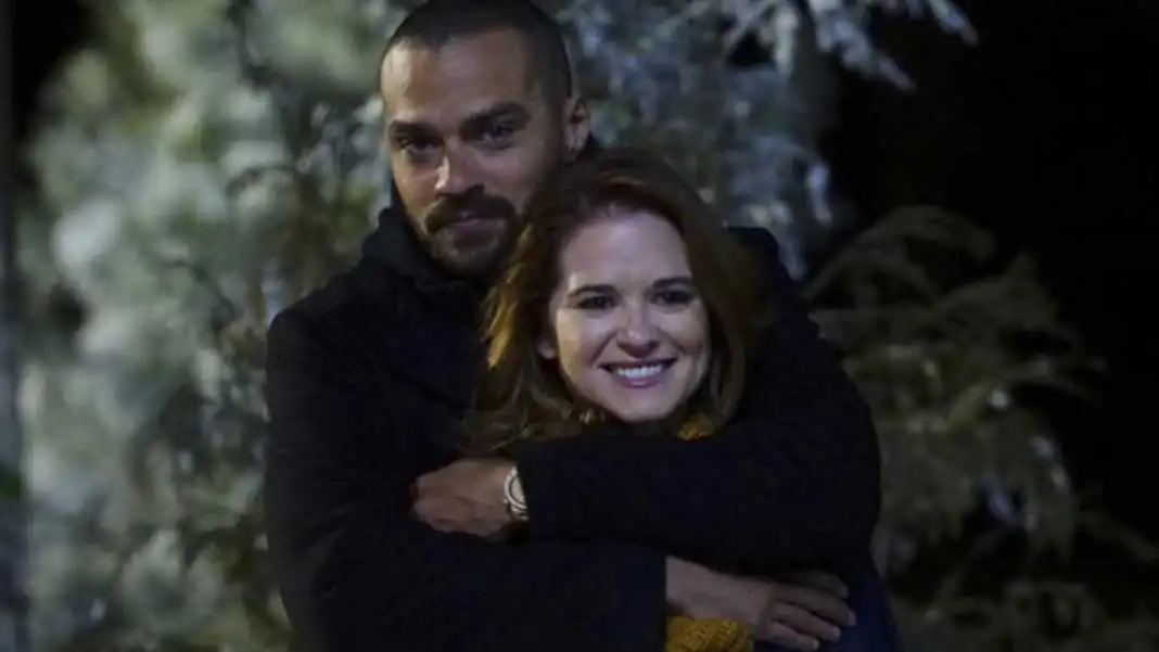 Jesse Williams Sarah Drew Grey's Anatomy Jackson e April 18 Greys