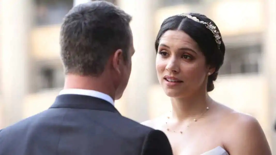 assistir Chicago Fire 10x22 online legendado