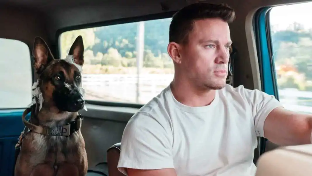 Onde assistir Dog A Aventura de Uma Vida Channing Tatum online