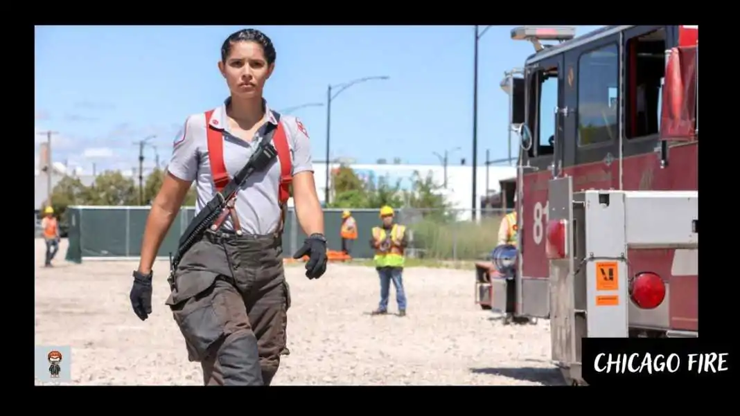 assistir Chicago Fire 11x02 online torrent legenda