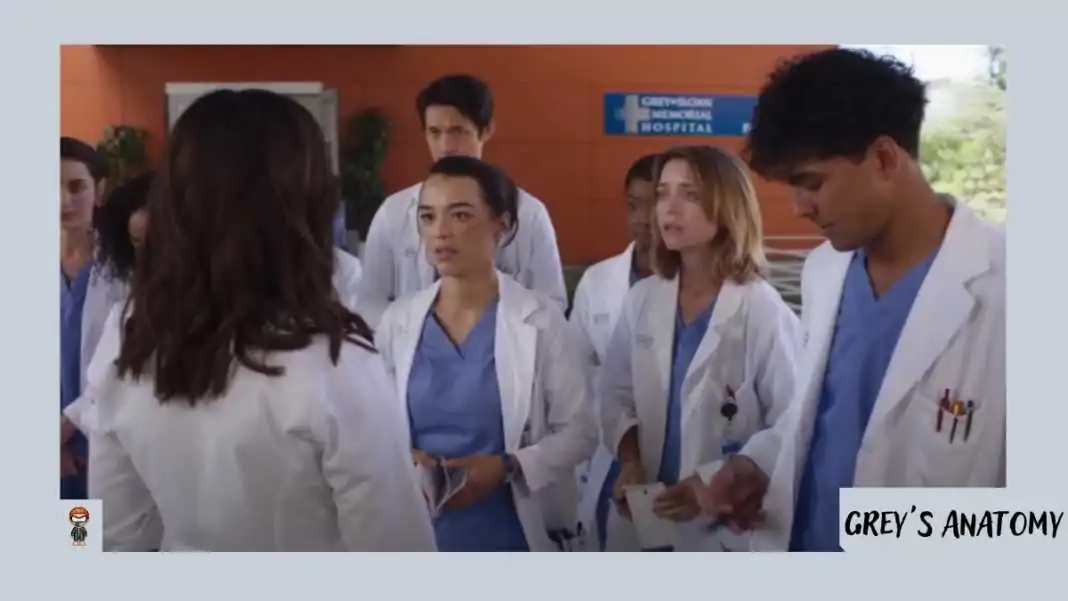 assistir Grey's Anatomy 19x01 online legenda 19ª temporada