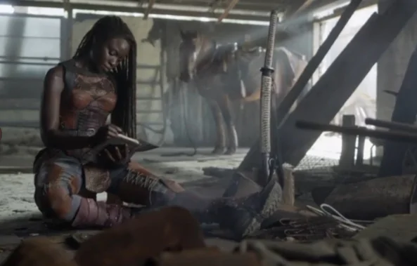 the waling dead michonne