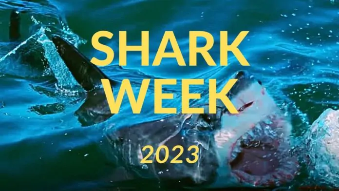 Shark Week 2023: Onde assistir ao vivo na íntegra