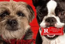 O filme Ruim Pra Cachorro chegou no streaming do Prime Video